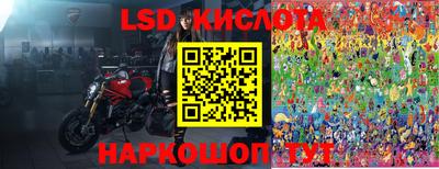 гидра Будённовск