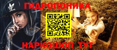 гидра Будённовск