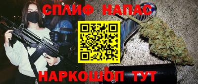 гидра Будённовск