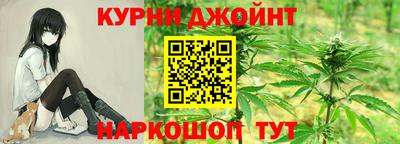 гидра Будённовск