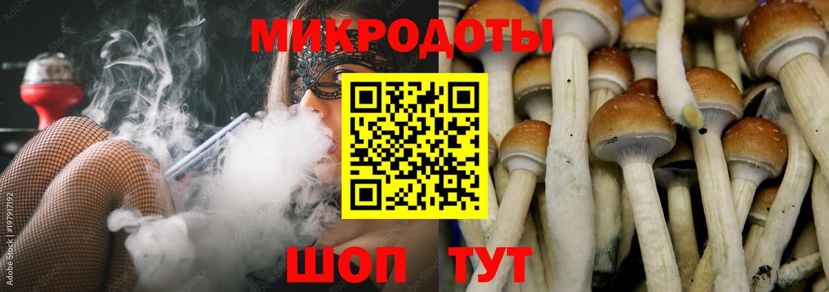 Холмск  Псилоцибиновые грибы Psilocybe  как найти   Псилоцибиновые грибы мухоморы  Вход с VPN 