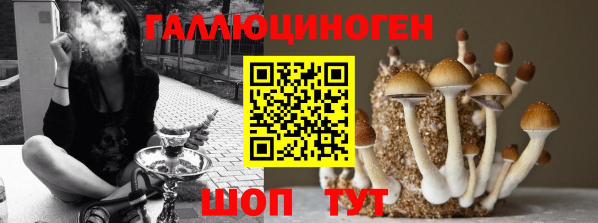 Псилоцибиновые грибы MAGIC MUSHROOMS Холмск